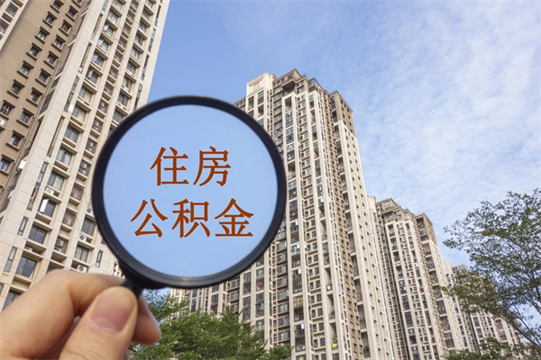 公积金还看征信吗吗_桐城公积金代办在职离职封存服务